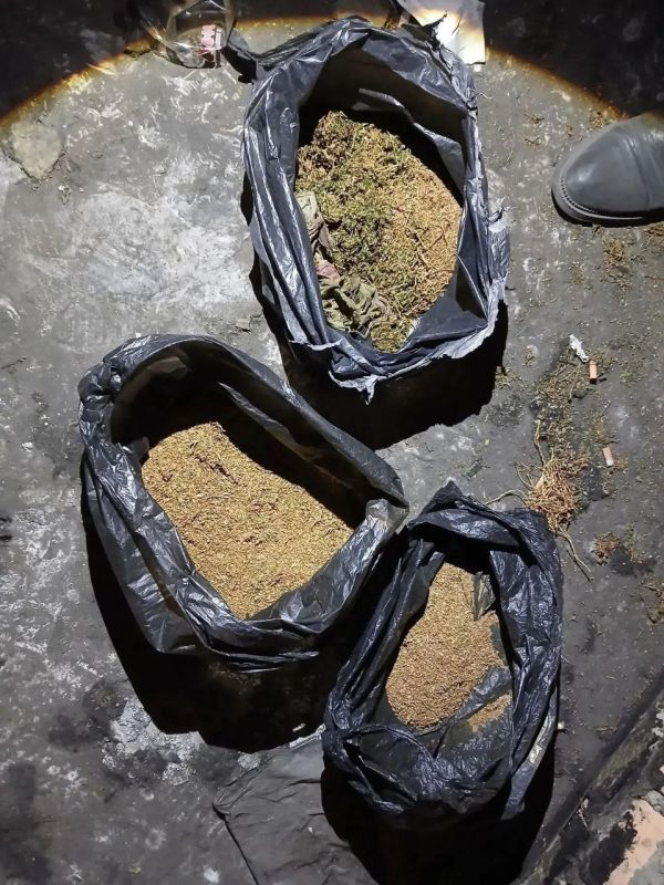 Полицейские Тувы изъяли более трех килограммов марихуаны на чердаке многоквартирного дома Полицейские Тувы изъяли более трех килограммов марихуаны на чердаке многоквартирного дома